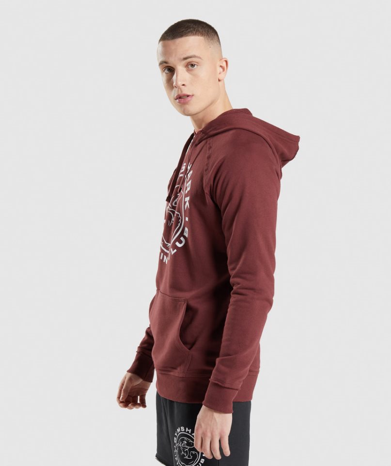 Bluzy Z Kapturem Gymshark Legacy Męskie Brązowe | PL 158IAW